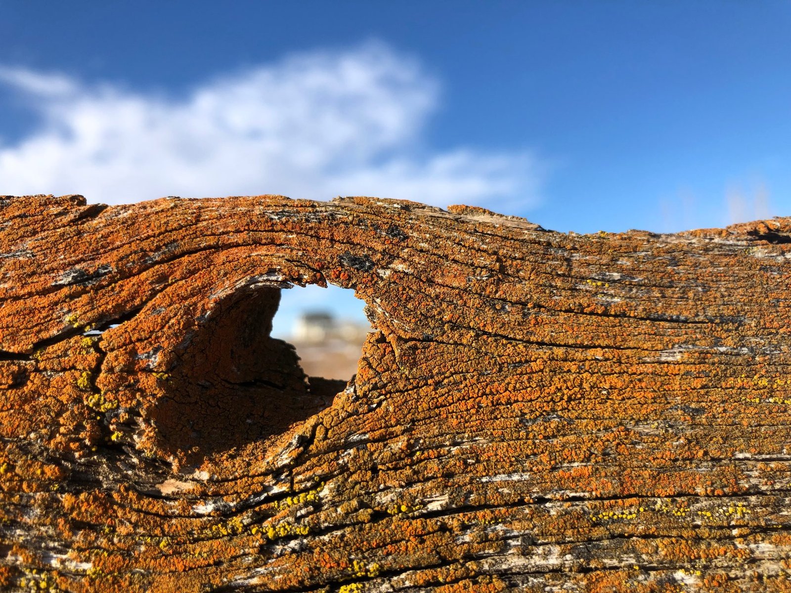 hole in red rock